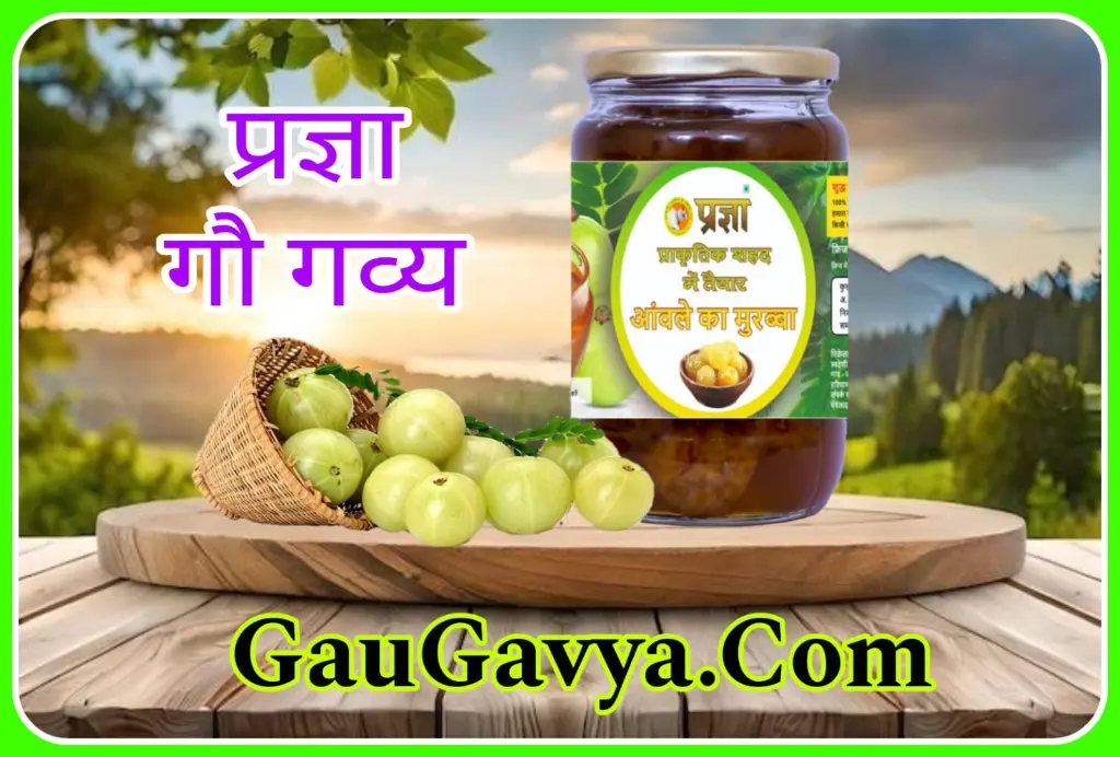 cd3a9453-12d3-4325-91e6-4d27eee4fe4a.webp