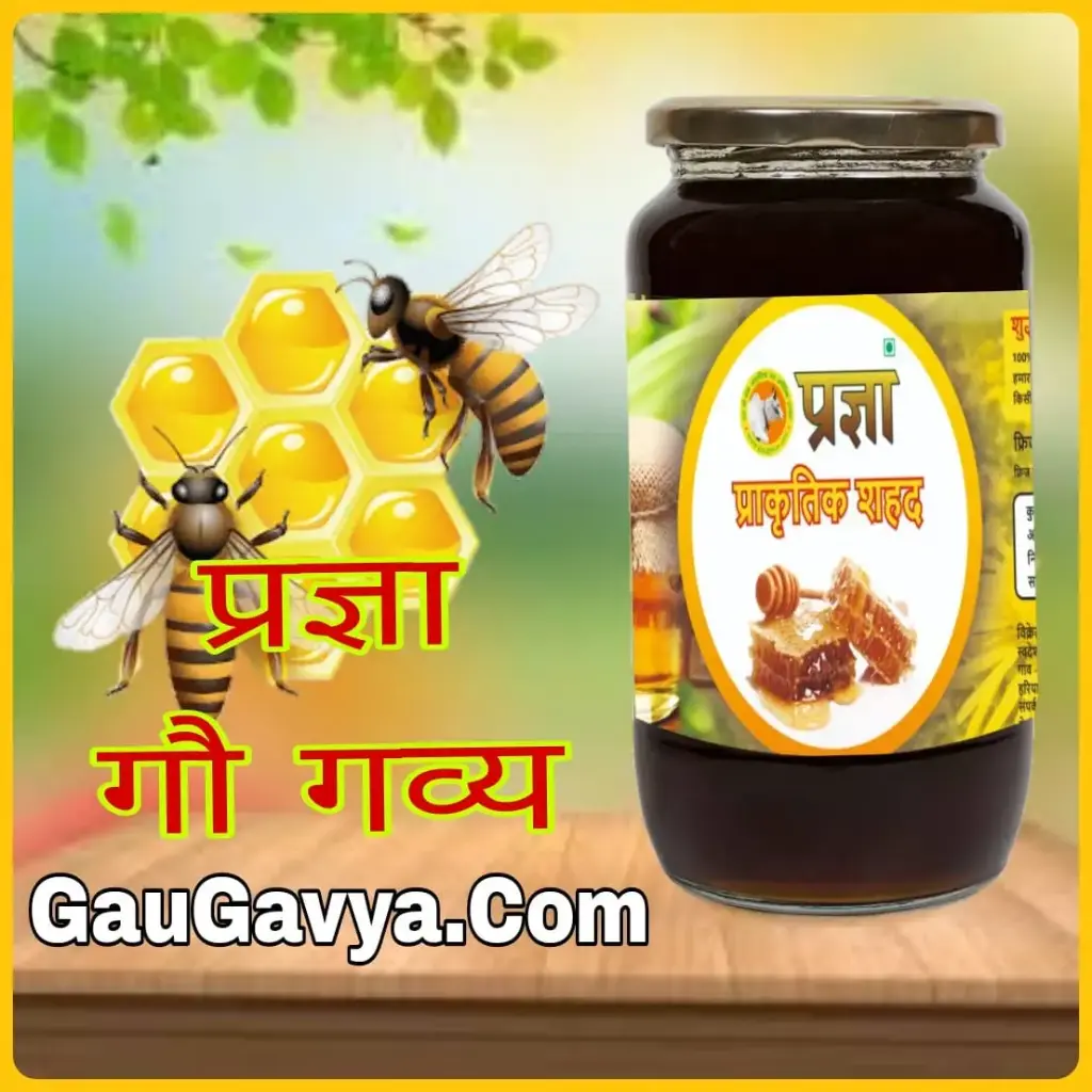 Pragya Natural Honey