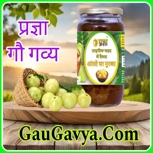 Pragya Honey Gooseberry Murabba 1 kg